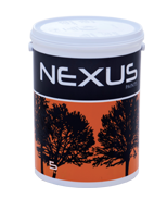 nexus-vector