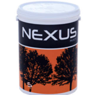 Nexus Vector