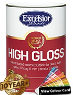 Premium High Gloss Enamel